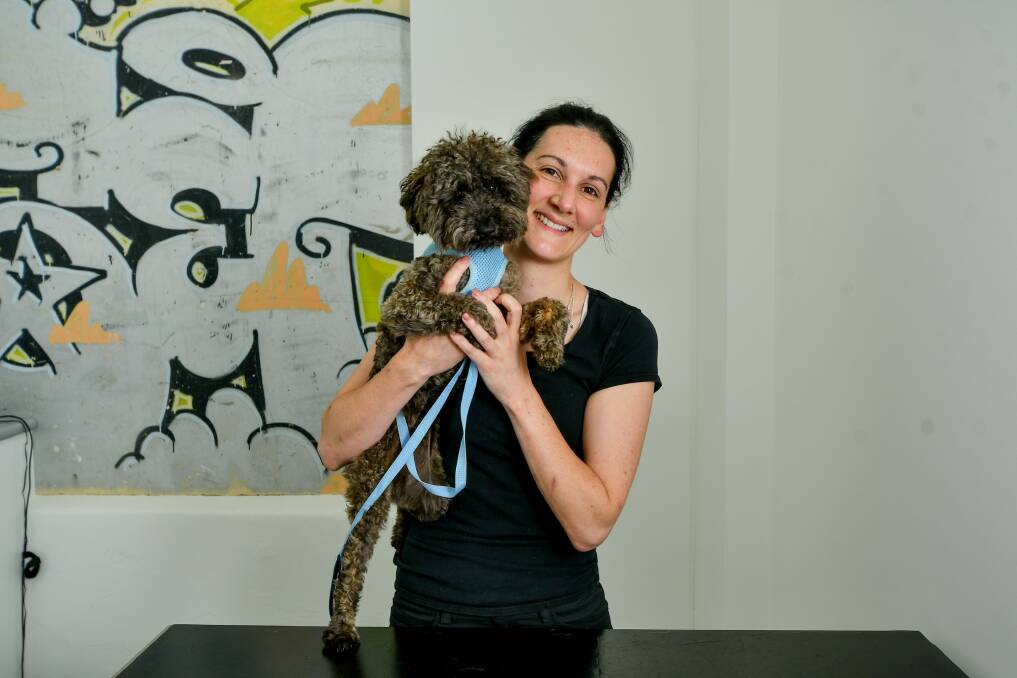 Puppy love: Dr Jenny Griffiths of Pets Life Veterinary Care with Teddy the toy poodle at their new site in the old cordial factory near CH Smith . Picture: Scott Gelston