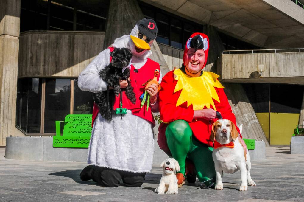Pets for peace: Taking the Lead 2018 Tamar Valley Peace Festival Dan Taylor with Dante Multi Poodle Cross and Gerard Lane with Belle the Beagle. Picture: Neil Richardson 