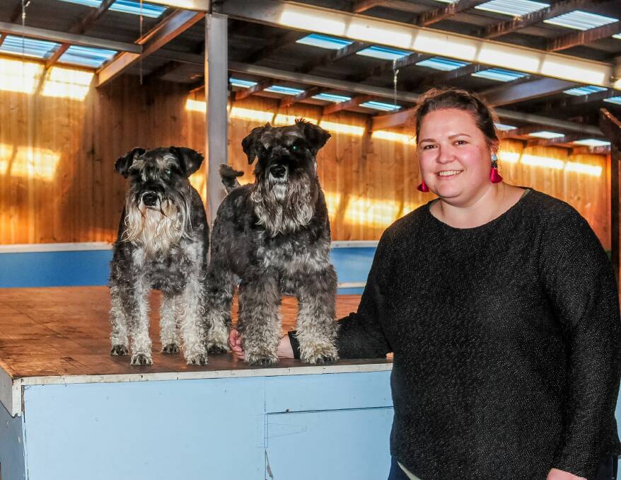 Furry fun: Rocky and Frankie with organiser Clare Harding, of Launceston. Picture: Neil Richardson 