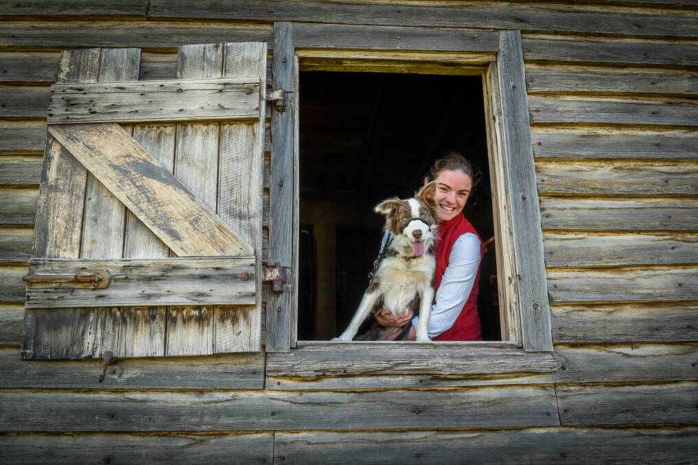 Lauren Shipp of Launceston with Gidget at The Woofers Wags and Walkies at Woolmers Estate. Picture: Paul Scambler