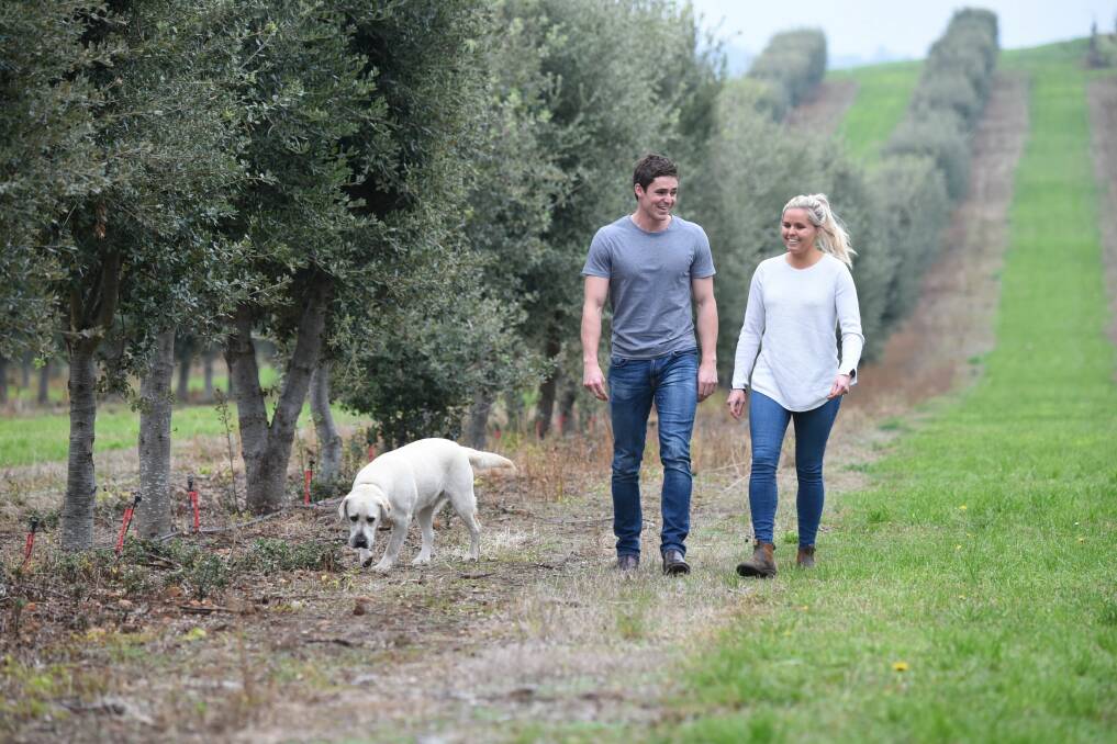 Truffle siblings Henry and Anna Terry of Tasmanian Truffles at the Needles , ( near Deloraine) with Doug the labrador. Picture: Paul Scambler. 