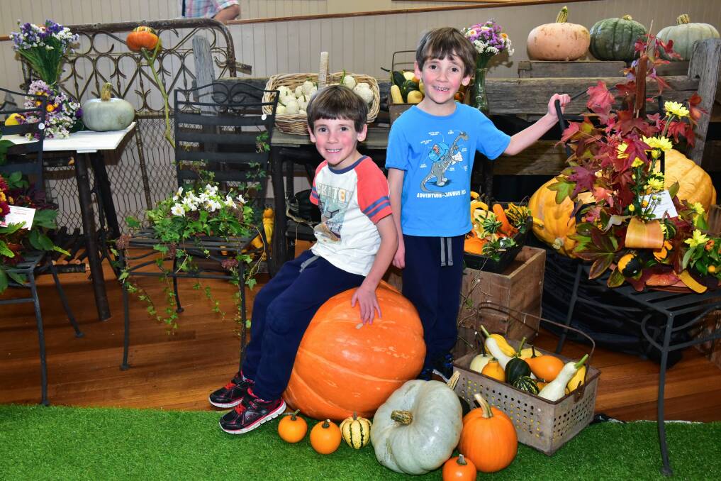 Flower Show: Twins Dylan and Riley Broad, 6 from Summerhill. Picture: Neil Richardson