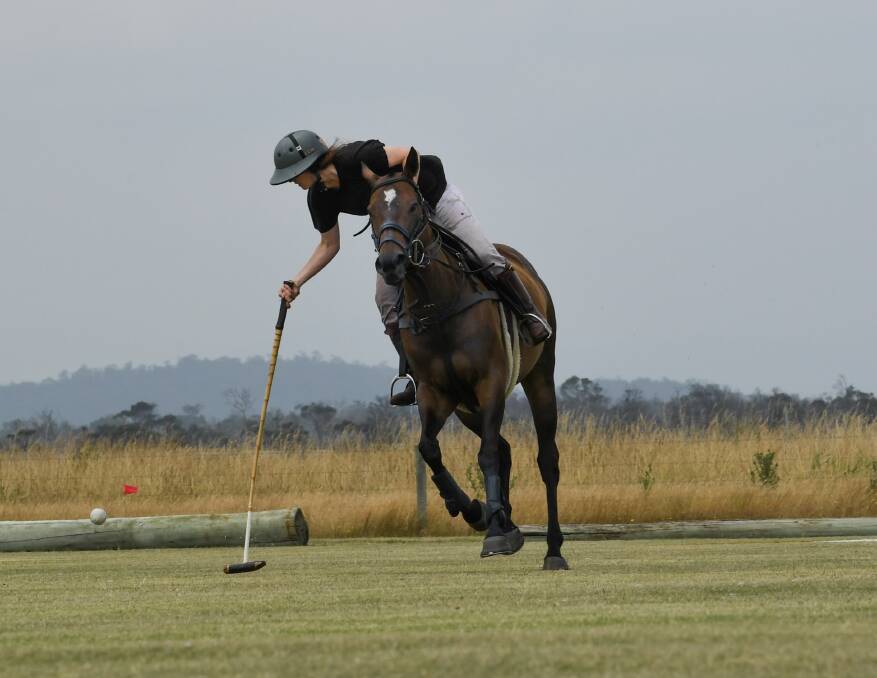 Barnbougle Polo preview Clemi Mann from Geelong tries out the ground on Phoenix. Neil Richardson 