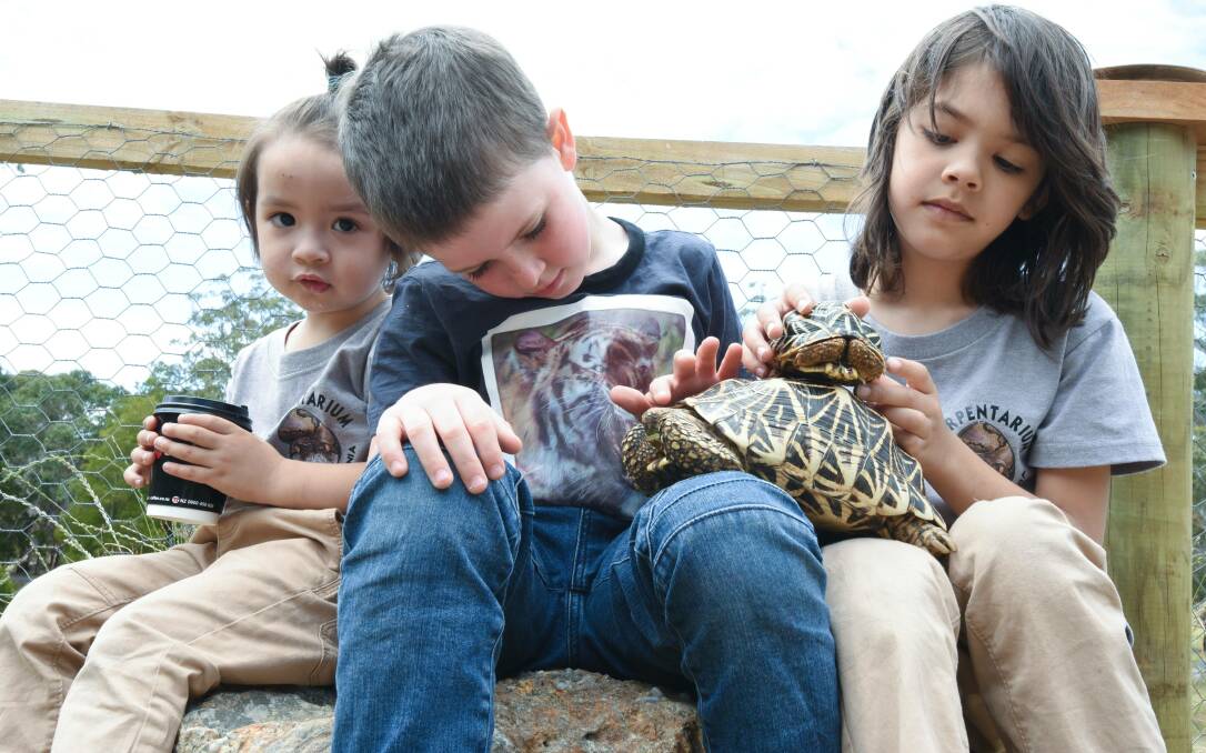 Up close: Sam Lowndes, 2, Ricky Carter and Floyd Lowndes with Indian star tortoise. Pictures: Neil Richardson 