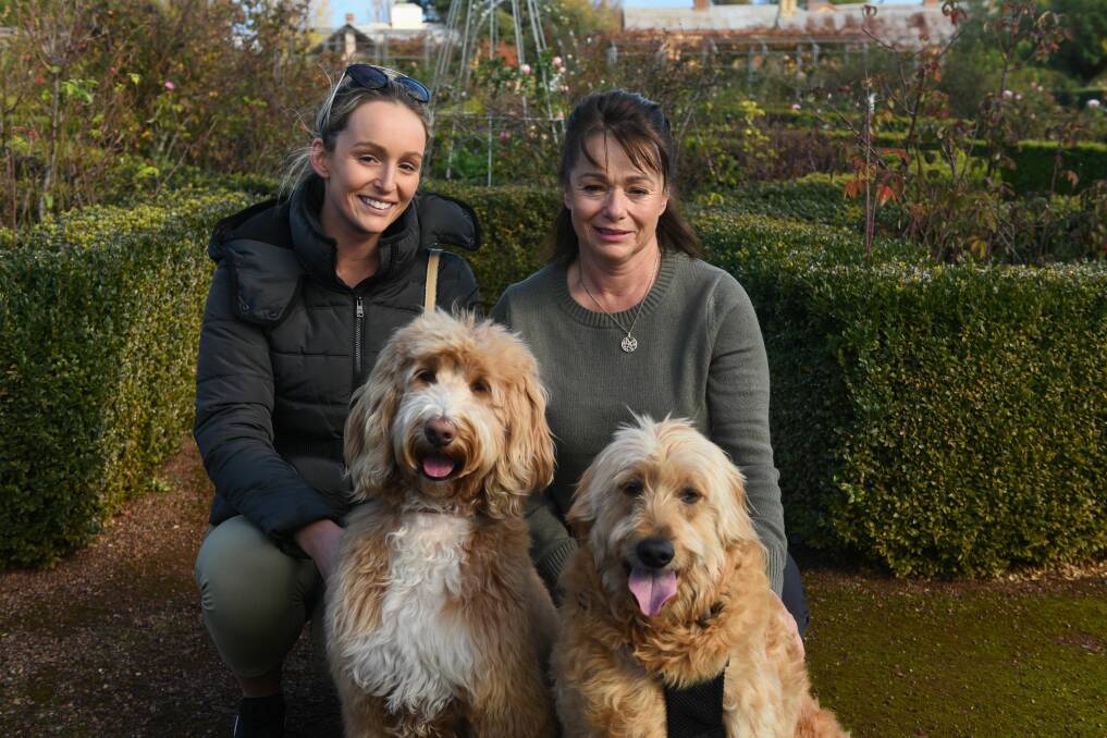 Doggos: Courtney Lskey and her mum, Donna Laskey of Launceston with Harper and Mossie at The Woofers Wags and Walkies at Woolmers Estate 2018. Picture: Paul Scambler