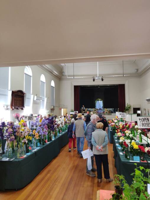 Attendees enjoy the many flowers on display at the Longford Town Hall for the town's Spring Flower Show. Picture: Harry Murtough
