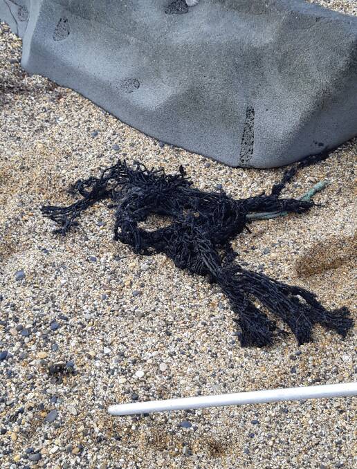 The item that was caught on the seal, a black fishing net.