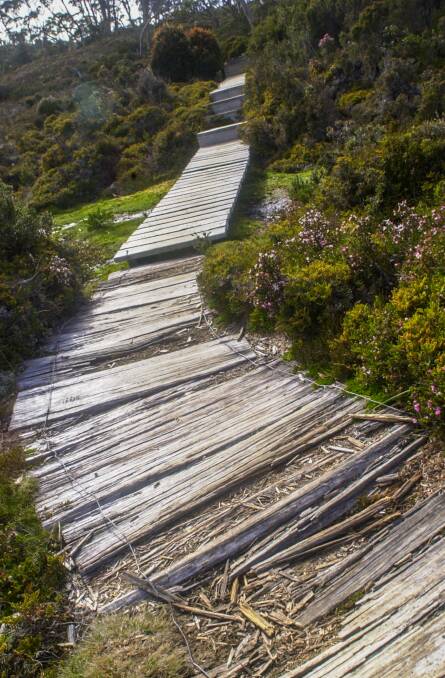 Some parts of the older boardwalk that had to be replaced due to erosion..
