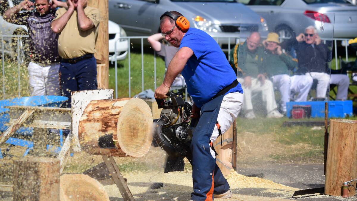 SLICING THROUGH: Dale Beams of Winkleigh competes in the Hot Saw event at the Royal Launceston Show. Picture: Paul Scambler.

