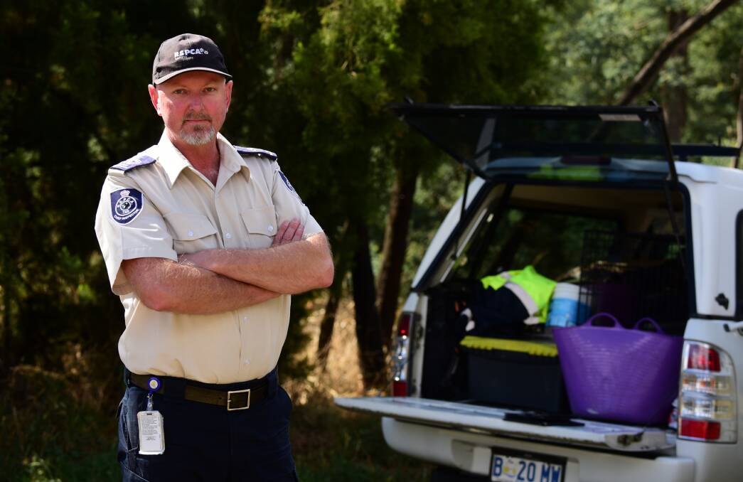 STAFF: RSPCA chief inspector Ray Kroeze said the organisation was swamped with work. Picture: Hayden Johnson 
