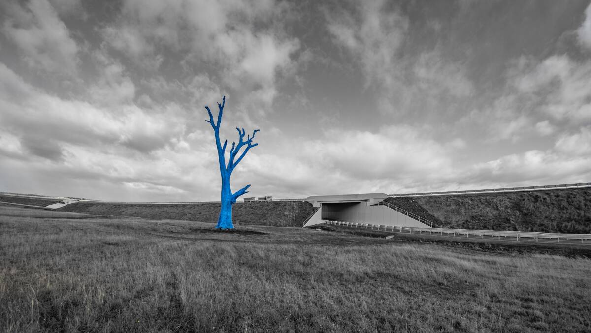 26/5/2021 The dead gum tree on the Perth Bypass, which has been painted blue for mental health awareness.