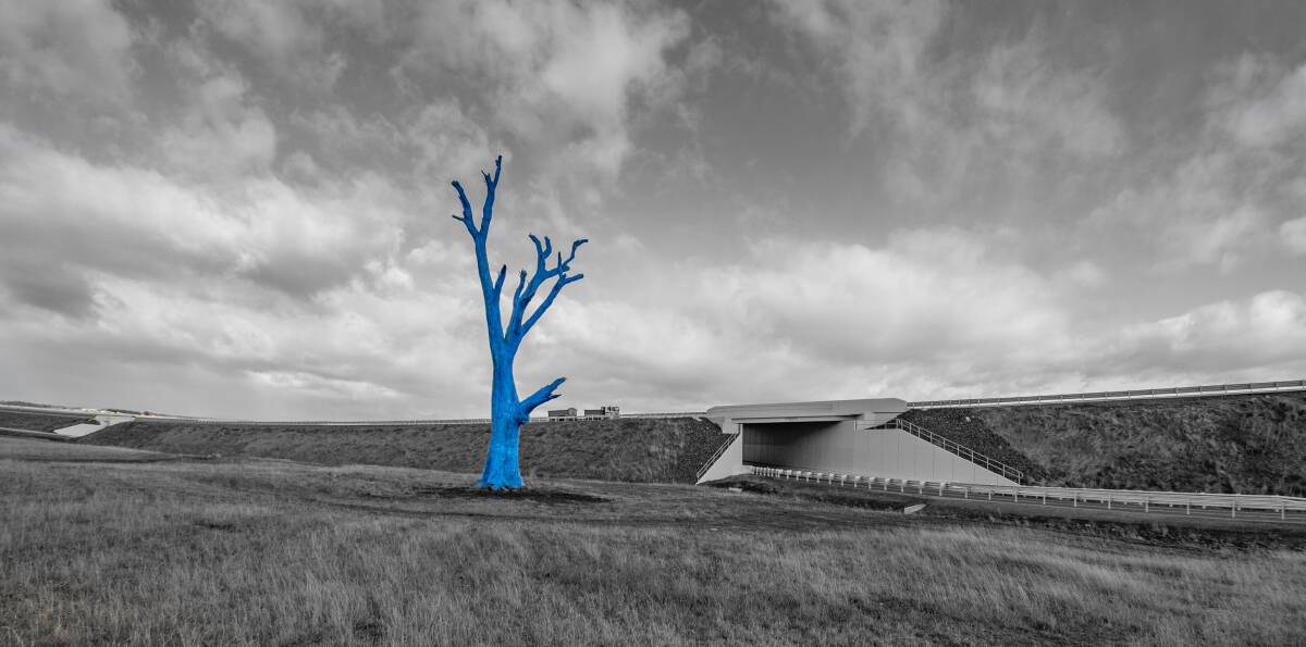 The dead gum tree beside the Perth Bypass, which has been painted blue for mental health awareness