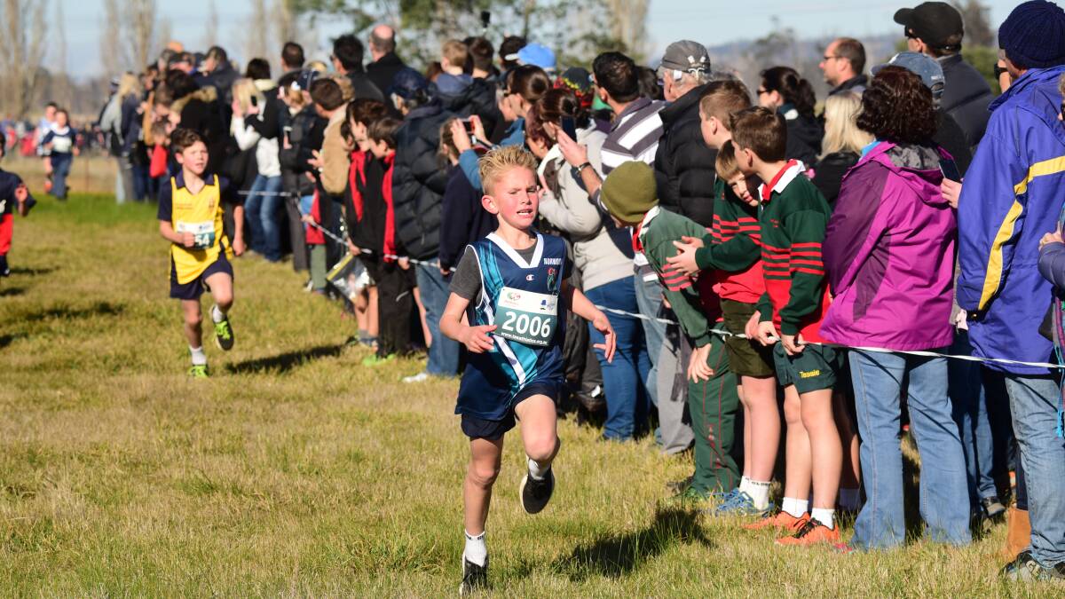 Race face: Thomas Munting, of Norwood Primary, charges home.
