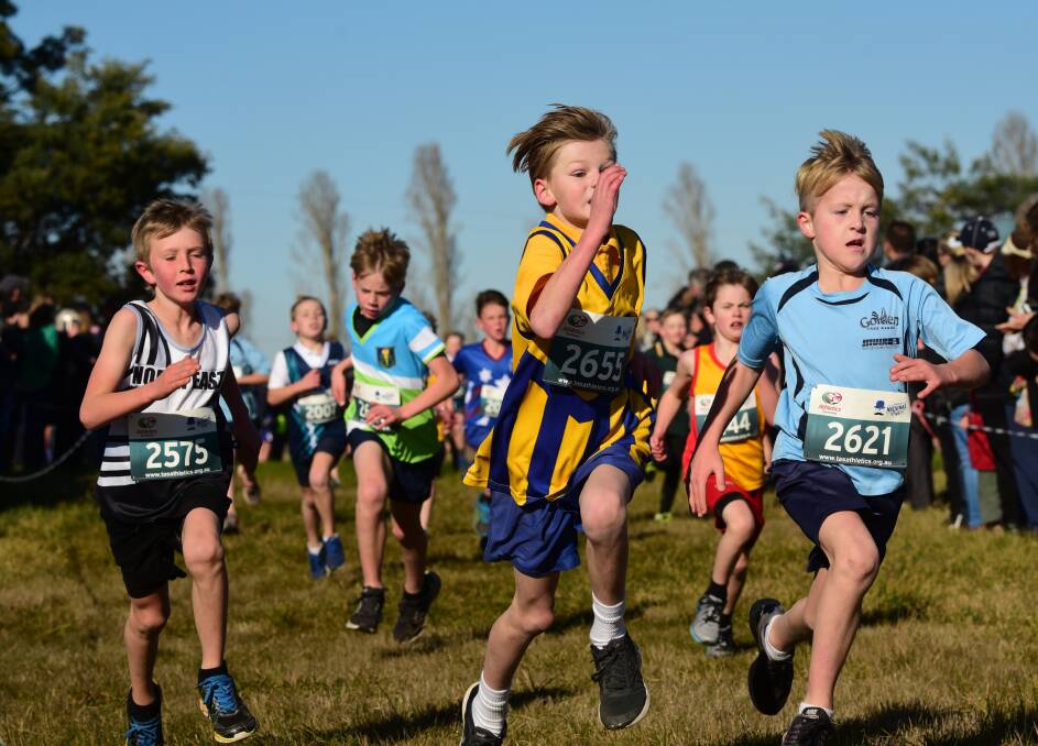 Run for it: Campbell Waterhouse, of Trevallyn Primary, ups the pace.