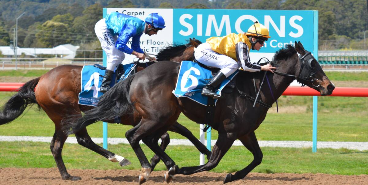WINNER: Canam (Raquel Clark) broke his maiden status with an emphatic win in a 1000-metre maiden on the Luxbet All-Weather in Devonport on Sunday.