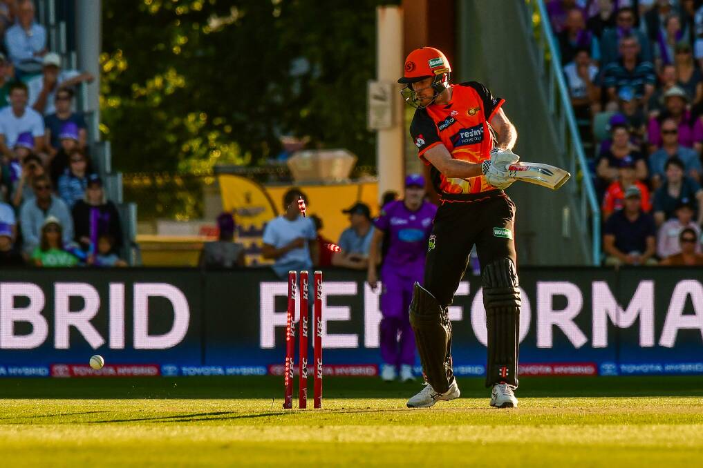 GONE: Scorchers' Ashton Turner is bowled by Riley Meredith in the BBL match in Launceston on Sunday. 