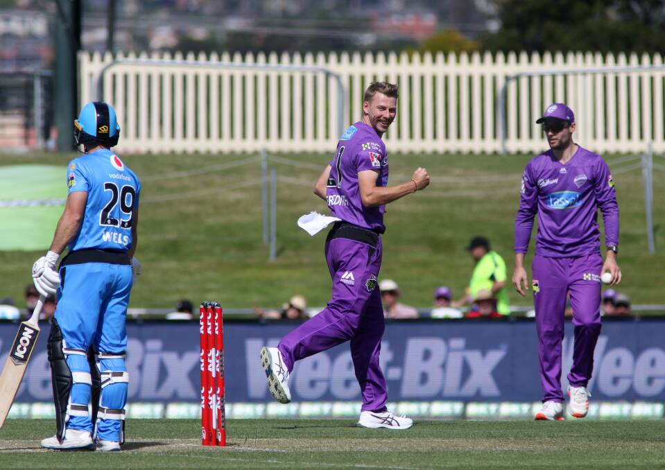 READY TO RUMBLE: Riley Meredith celebrates a wicket against the Adelaide Strikers at Blundstone Arena earlier this summer. Picture: Rick Smith