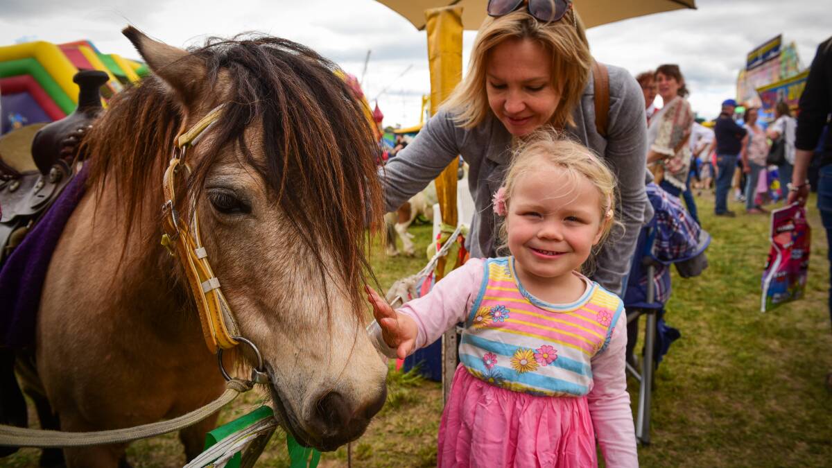 Family Fun: All the fun of the fair, kids will love getting up close to a range of farm animals. Picture: Paul Scambler