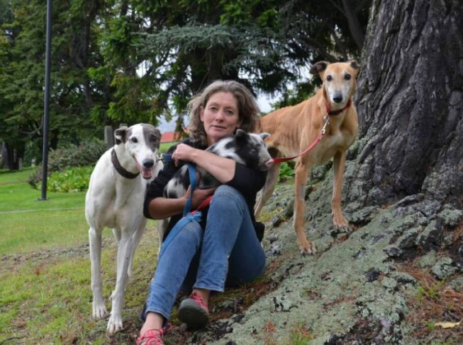 CONCERNED: Brightside Farm Sanctuary founder Emma Haswell says she could re-home three times as many greyhounds for the same price as GAP. Picture: File