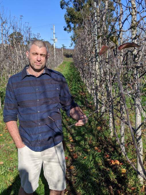 PLANNING: FGT board member Brent McClintock says growers are worried there isn't enough skilled workers to fill the void left by backpackers. Picture: Jackson Worthington