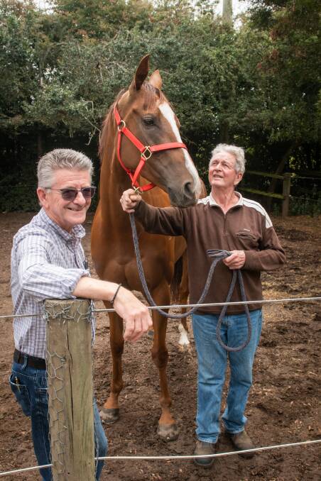 DREAM: Still a Star part owner Ron Riley and trainer Bill Ryan are hoping the public will get behind their bid for the All Star Mile. Picture: Paul Scambler 