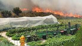 Fire burning near Dr Moore's property at Dolphin Sands. Picture: Supplied