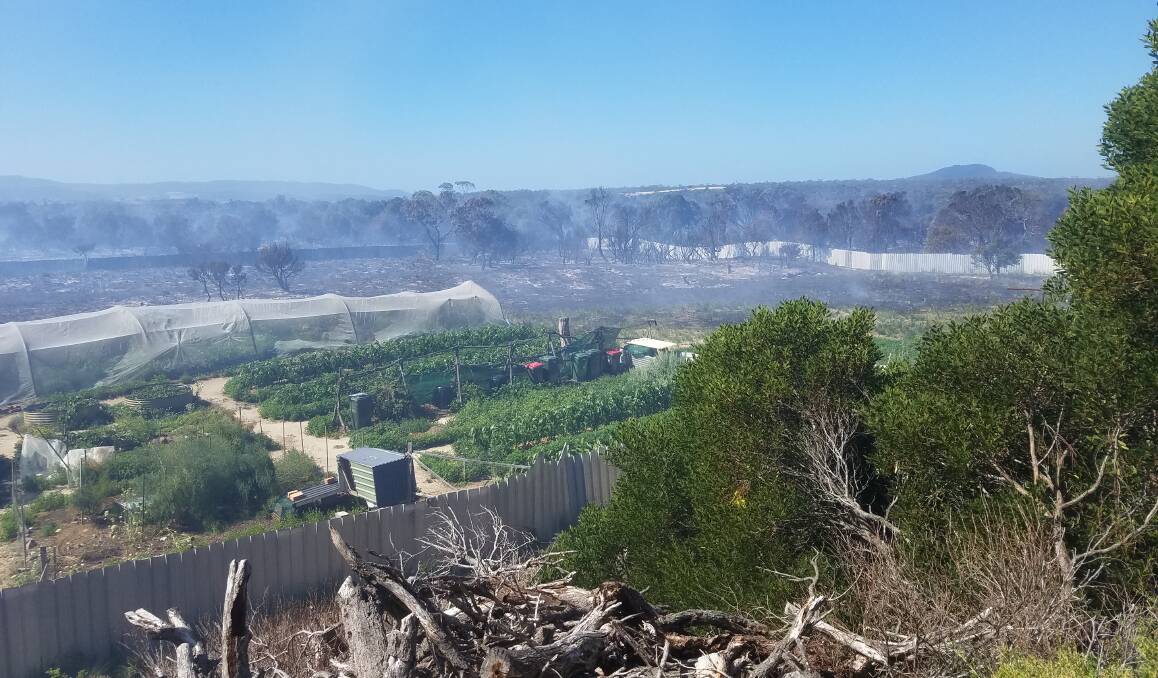 The fire stopped just before the vegetable garden on Robyn Moore's property at Dolphin Sands. Picture: Supplied