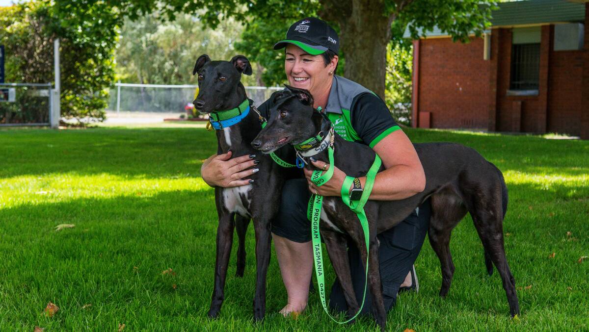 BANNED: GAP Tasmania program coordinator Susan Gittus has been suspended from the sport after her dog tested positive to a banned substance. Picture: File