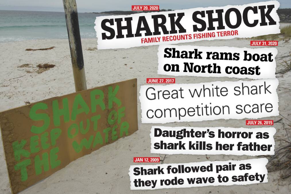Sharks in Tasmania: a brief history of attacks and close encounters
