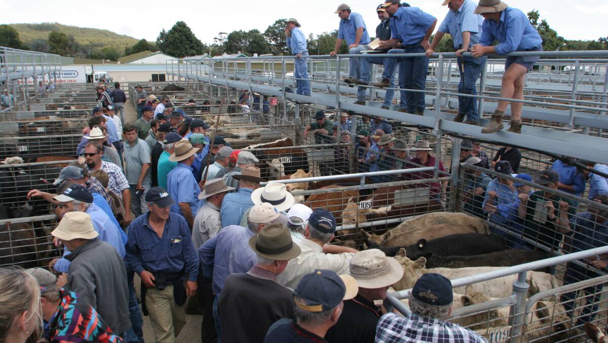 SET TO CLOSE: The Coast's primary saleyard will close in 2020. 
