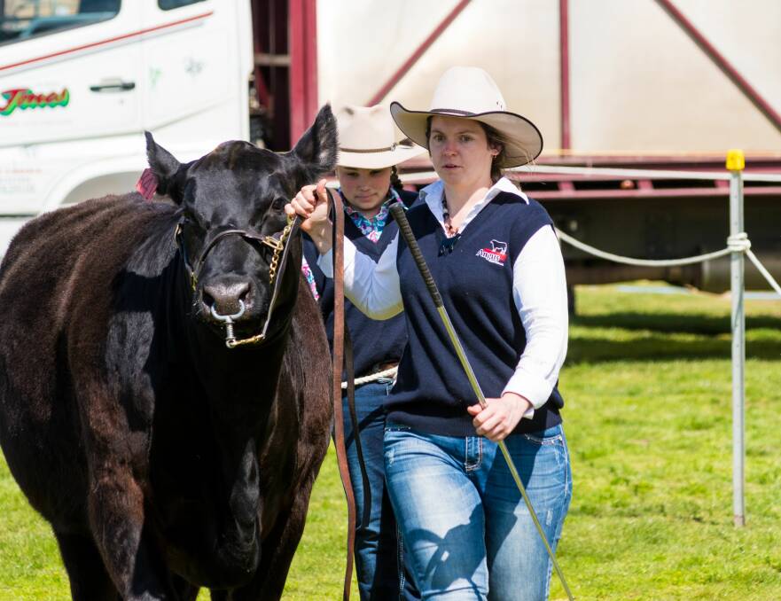 BEEF: Cousins Alice and Adara Hall, from Quarterway Angus, with their Angus cow and calf at the Royal Launceston Show. Picture: Phillip Biggs.