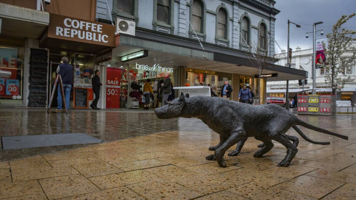 POTENTIAL HAZARD: The Tasmanian tiger statues in the Brisbane Street Mall. Picture: Paul Scambler.
