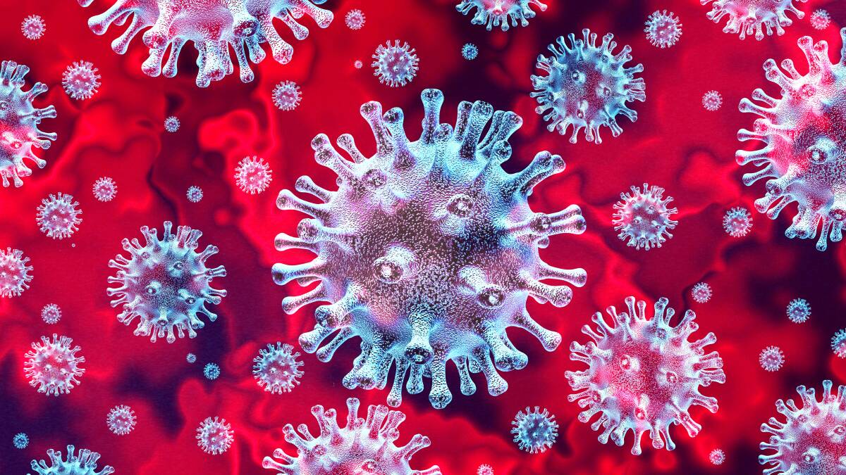 Tasmania's coronavirus cases rise again