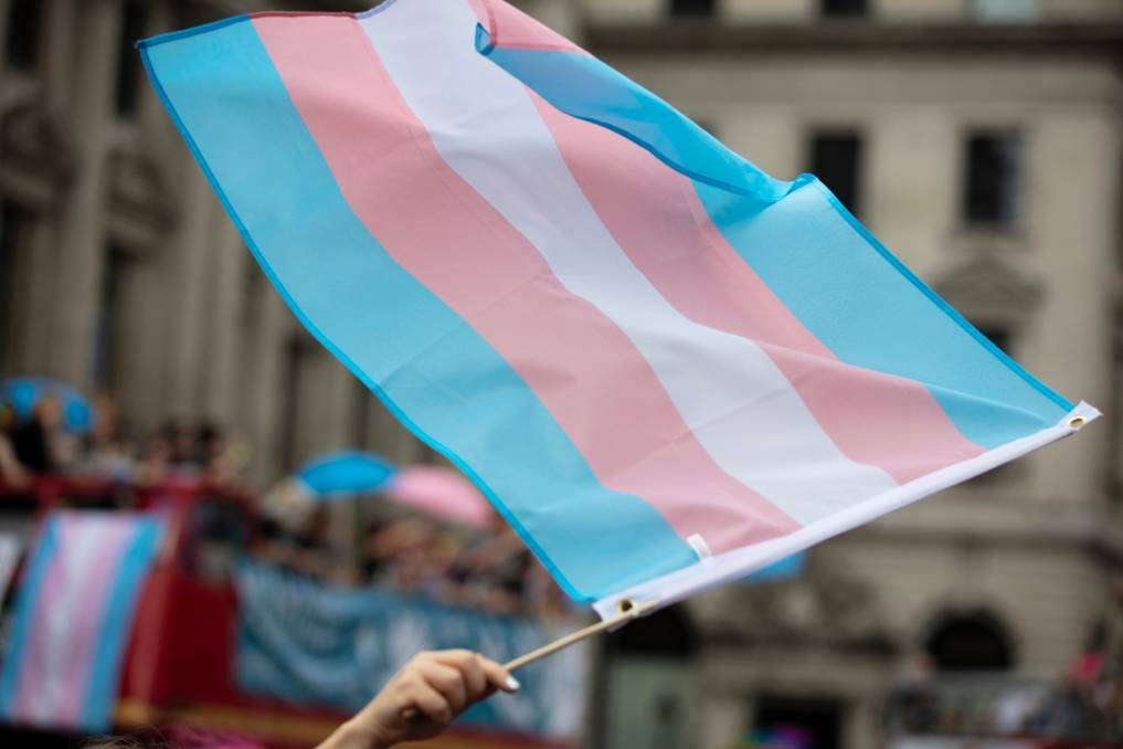 AWARENESS: March 31 marks International Transgender Day of Visibility. Picture: Shutterstock
