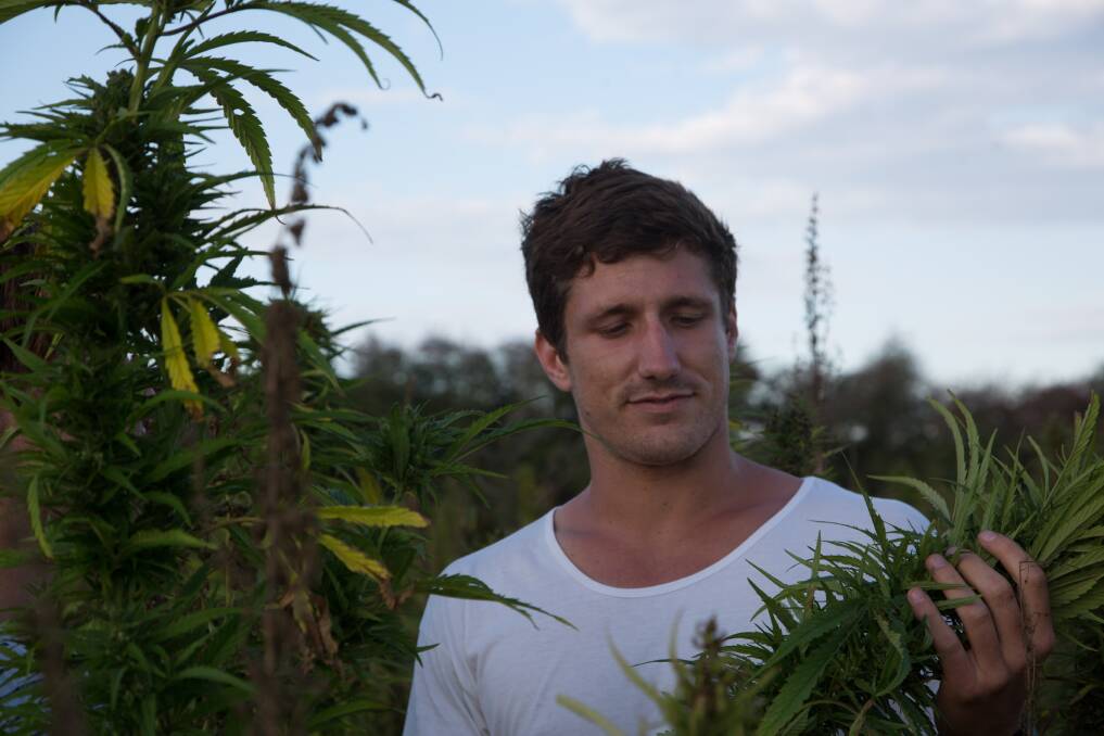 HEMP: Ron Badman Churchill Fellowship recipient Tim Crow is the owner of Hemp Harvests, the only hemp seed processing facility in Tasmania. Picture: supplied.