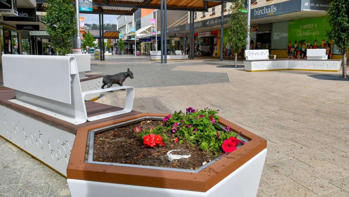 How does your garden grow: The new planter box in the Launceston Mall. Picture: Scott Gelston.