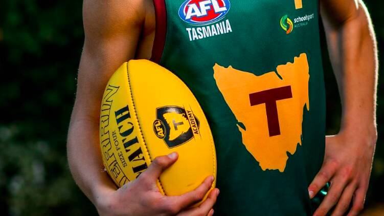 The AFL is prepared to invest a significant amount in a Tasmanian team if a new stadium is constructed in the state.