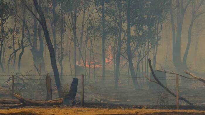 Up to 60 fire fighters have tried to contain three fires burning in and around Fingal today.
