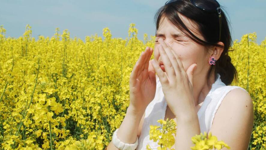 Why your hay fever could be worse this year