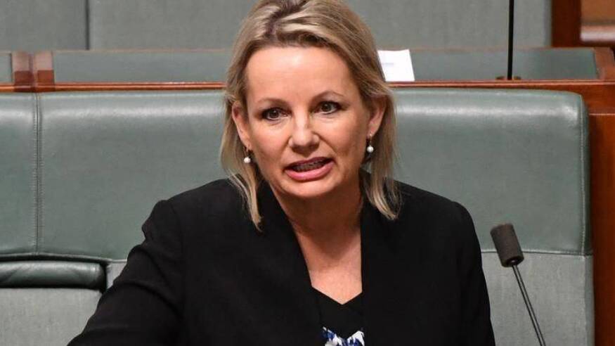 Environment Minister Sussan Ley