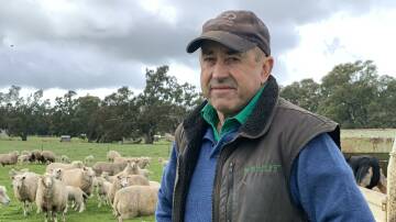 Western Victorian prime lamb producer staunch defender of supermarket giant