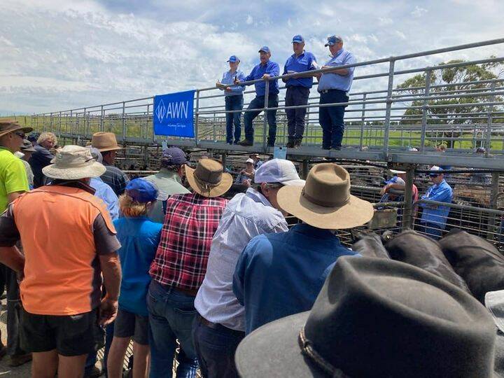 SALEYARD SUCCESS: The Smithton saleyard has turned over more than $11 million in stock in just over 12 months of operations.