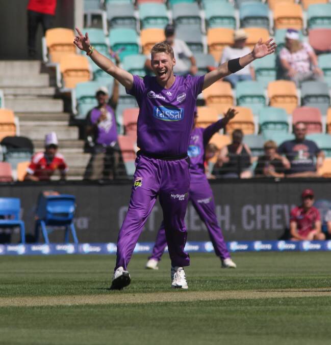 BANG: Riley Meredith celebrates a wicket for the Hobart Hurricanes. Picture: Rick Smith