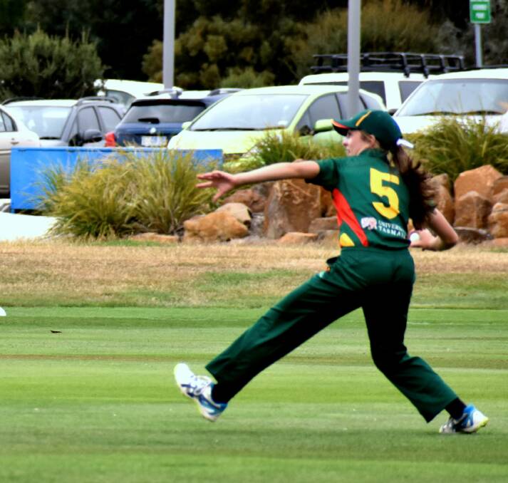 Dominant: Alice McLauchlan, pictured for Tasmania, throws one in from the outfield. Picture: Josh Partridge