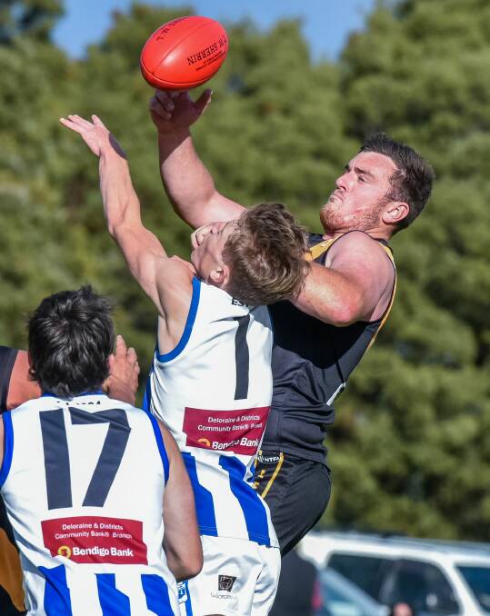 Bang: Longford ruckman Sam Luttrell wins the hit-out over Jarrod Scott in the Tigers' 37-point win over Deloraine. Picture: Neil Richardson