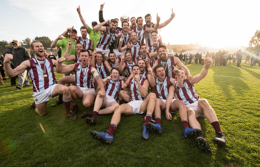 Drought-breaking: Hillwood celebrate following their premiership victory last season. Picture: Phillip Biggs
