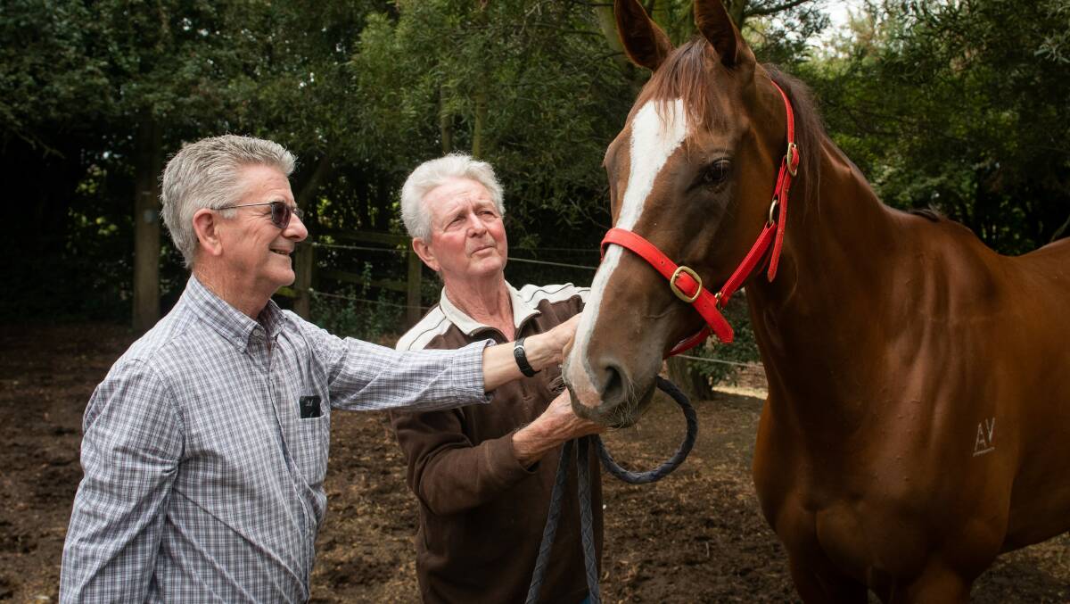 Ron Riley (part owner) and Bill Ryan (part owner and trainer) with Still a Star. Picture: Paul Scambler