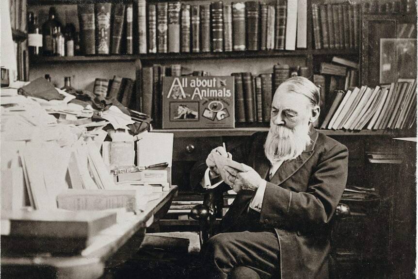 Cole in his study at the Book Arcade on Bourke Street at the turn of the century. Picture: Coles Album, Henry Williams, State library of Victoria 