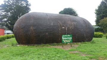 Robertson, home to Australia's sh--itest big thing; the Big Potato. Picture: file.