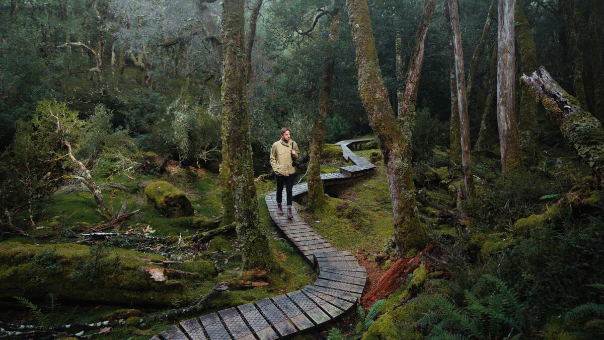 Walking the Knyvet Falls Track. Picture: Jason Charles Hill